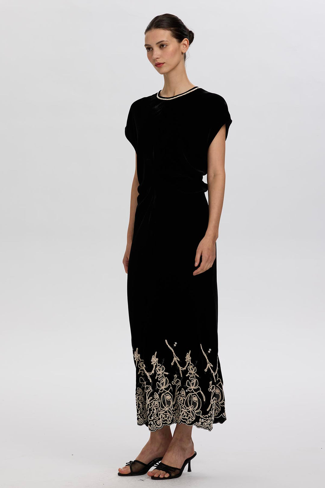 Leyva Embroidery Velvet Dress
