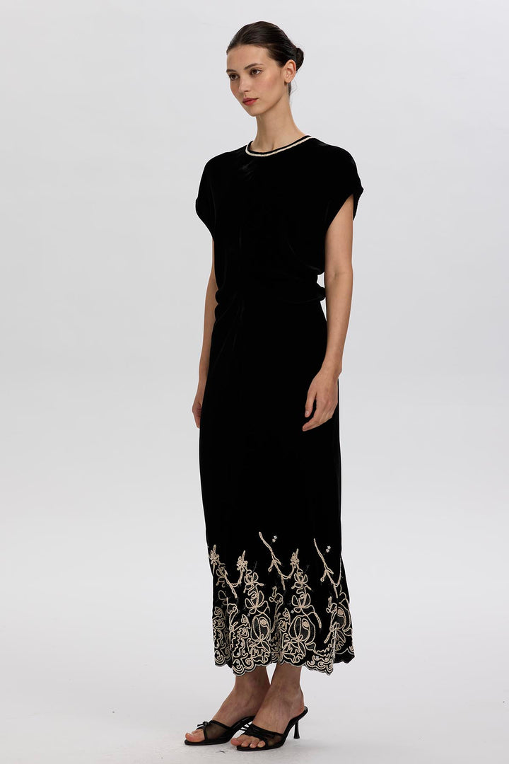 Leyva Embroidery Velvet Dress