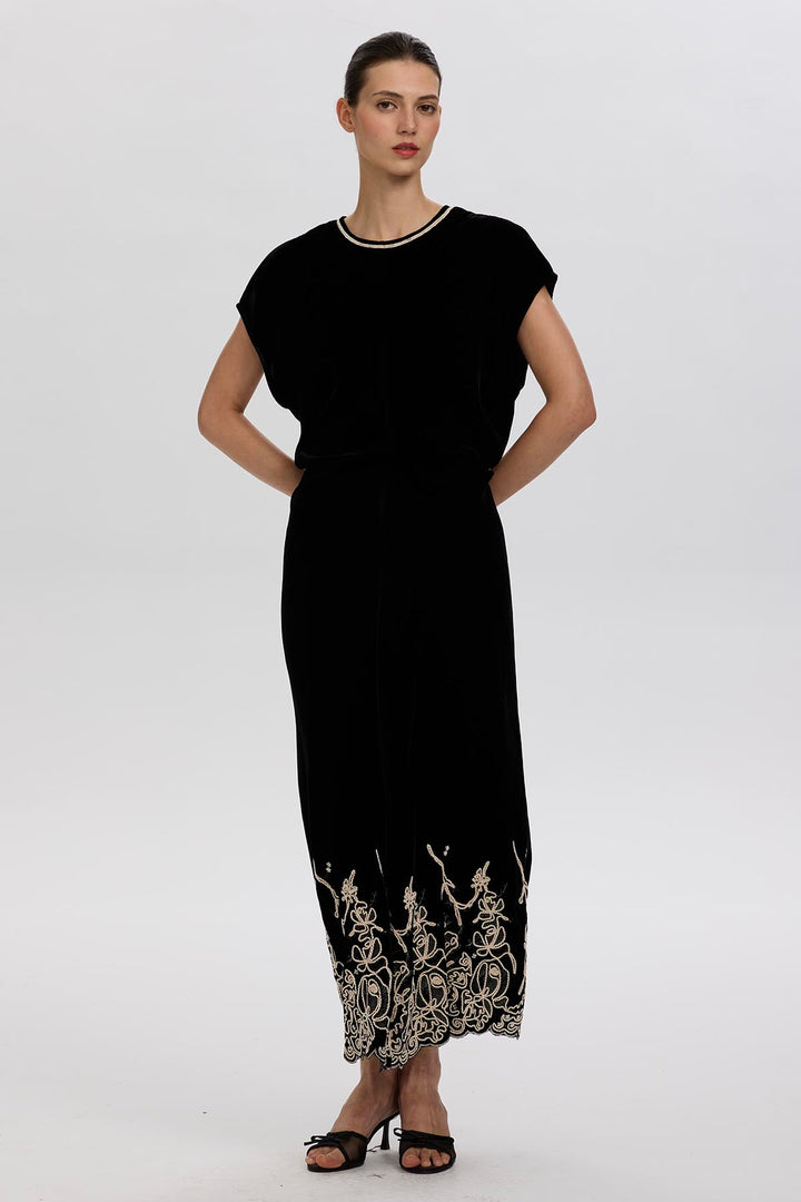 Leyva Embroidery Velvet Dress