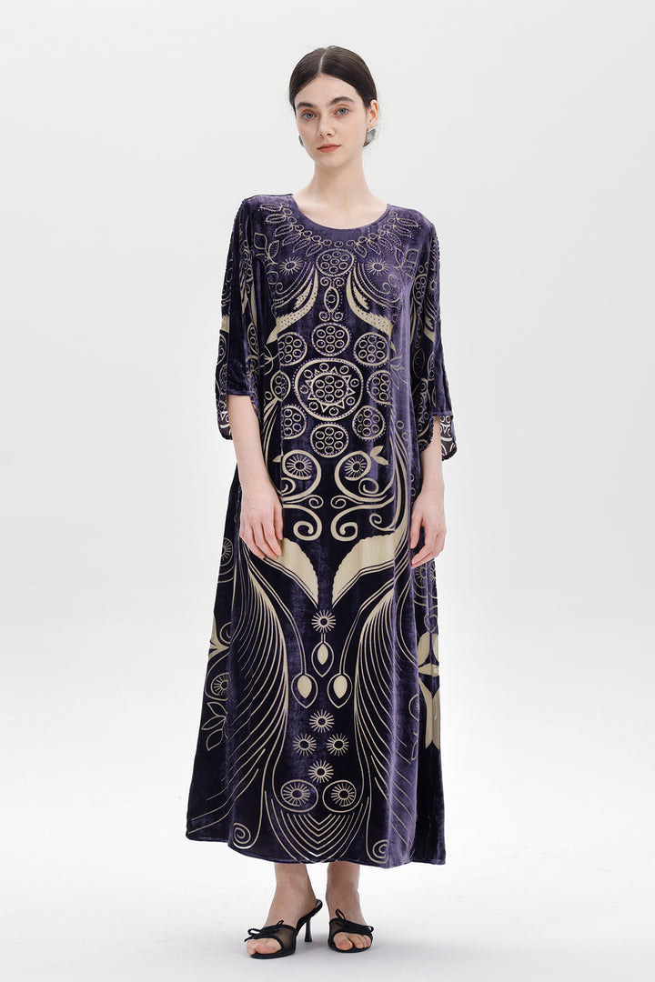 Ziva Art Silk Velvet Dress